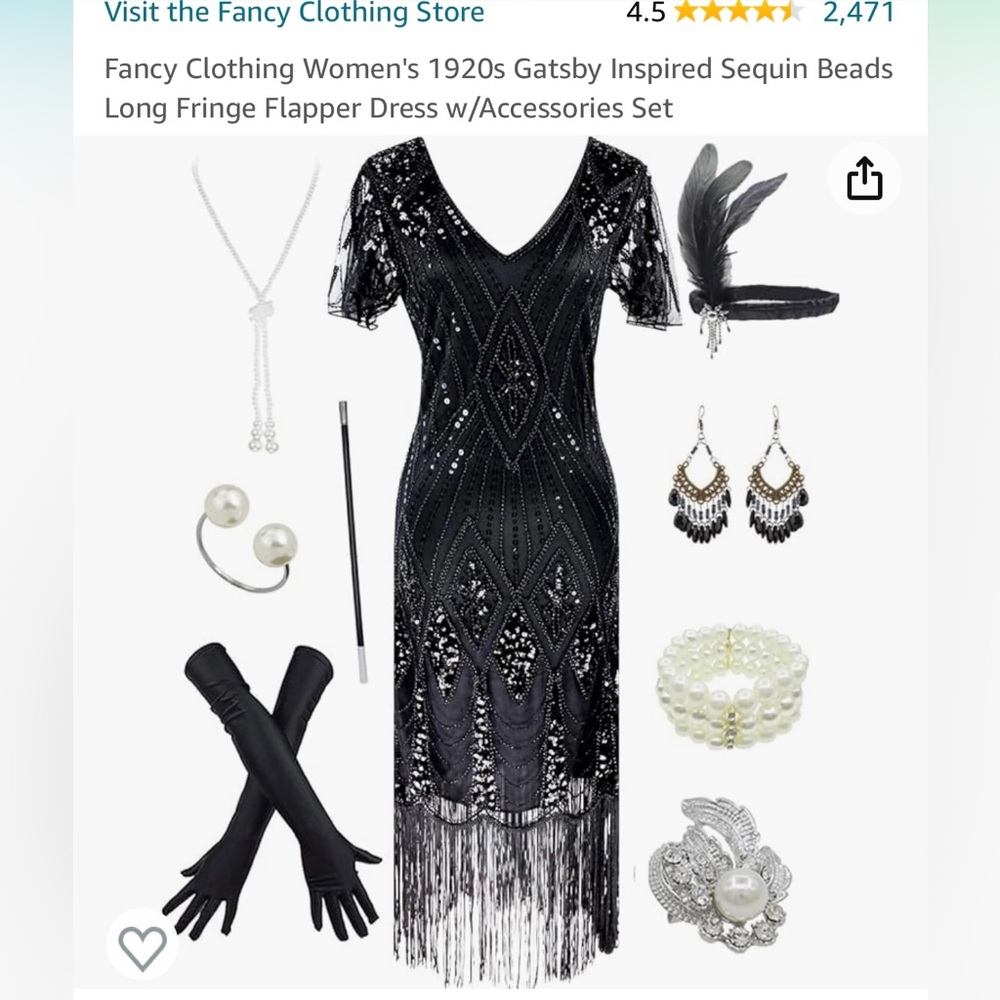 1920s Flapper Costume GREAT HALLOWEEN COSTUME!